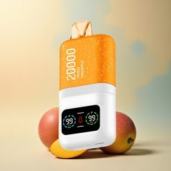 Aivono Aim Magic 20000 Mango Ananas Dual Mesh 600mAh