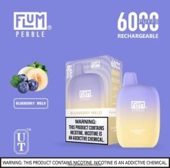 JD4B16 Flum Pebble Flavors FLUM PEBBLES 6000 Züge Blaubeermelo