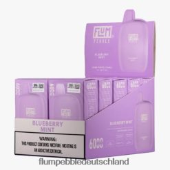 JD4B18 Flum Pebble Best Flavor FLUM PEBBLES 6000 Züge 10 Packungen Blaubeerminze