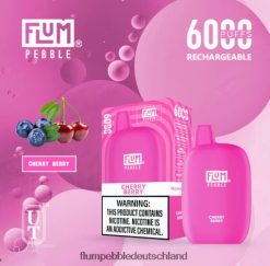 JD4B20 Flum Pebble Vape Price FLUM PEBBLES 6000 Züge Kirschbeere