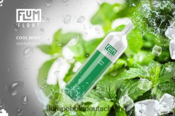 JD4B25 Flum Pebble Kaufen FLUM FLOAT 3000 Züge frische Minze