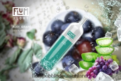 JD4B2 Flum Pebble Germany FLUM FLOAT 3000 Züge Aloe-Traube