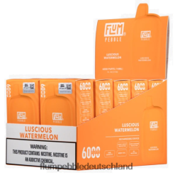 JD4B51 Flum Pebble Berlin FLUM PEBBLES 6000 Züge 10 Packungen köstliche Wassermelone