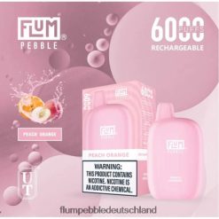 JD4B60 Flum Pebble Vape Price FLUM PEBBLES 6000 Züge pfirsicheisig